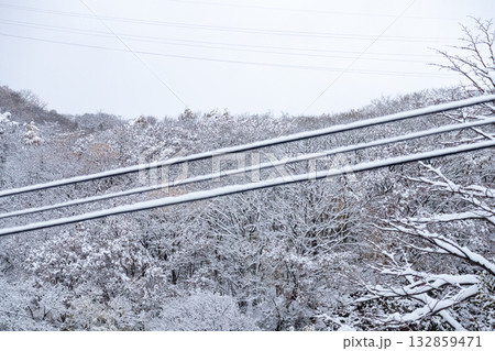 初雪の自然風景 132859471