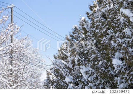 初雪の自然風景 132859473
