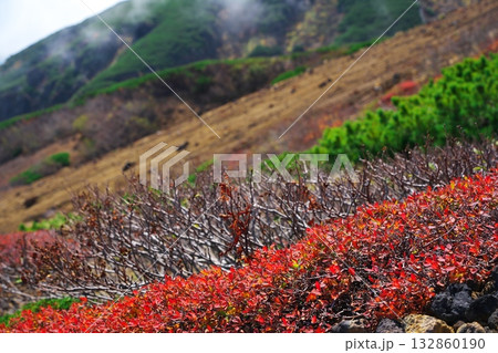 秋の御嶽山　9合目付近の紅葉 132860190