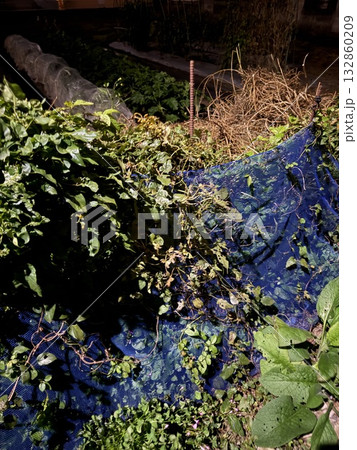 畑の動物除けネット 132860209