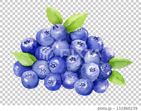 水彩插畫，描繪了許多藍莓 132860239