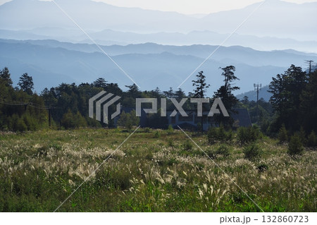 秋の御岳ロープウェイ　町道御岳ブルーラインからススキ越しに中央アルプスを望む 132860723