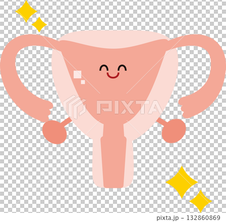 Illustration of a healthy uterus Illustration of a healthy uterus 132860869