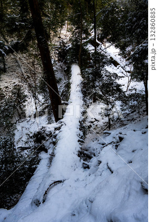 鞍馬・貴船の風景 鞍馬・貴船の風景 132860885