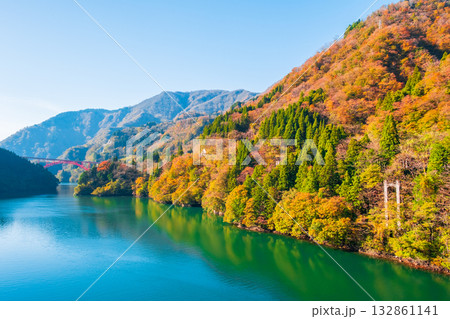 庄川峡(秋) 庄川峡(秋) 132861141