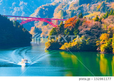 庄川峡（秋） 132861177