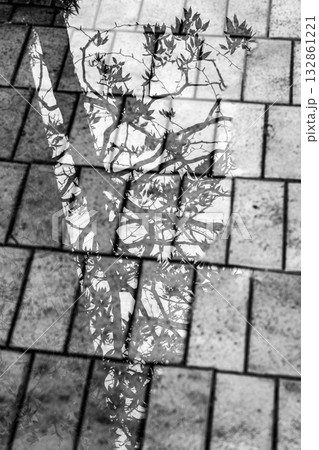 大阪市の風景 大阪市の風景 132861221