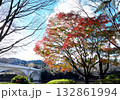 広瀬川に架かる大橋を背景にした紅葉 132861994