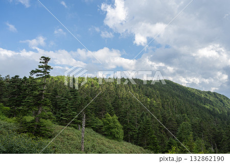 志賀草津高原ルートから望む山並み／群馬県 132862190