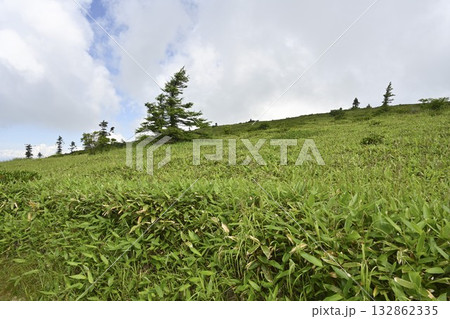 志賀草津高原ルートから望む山並み／群馬県 132862335