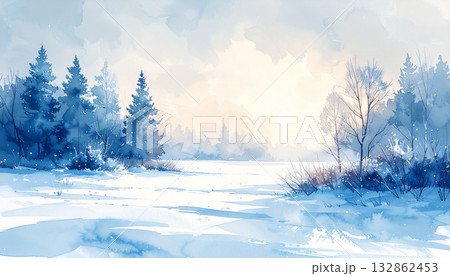 雪の降った冬の森 雪の降った冬の森 132862453