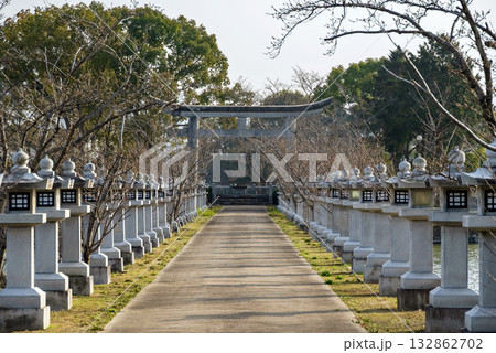 竜桜公園の風景 竜桜公園の風景 132862702