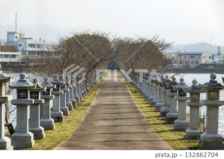 竜桜公園の風景 132862704