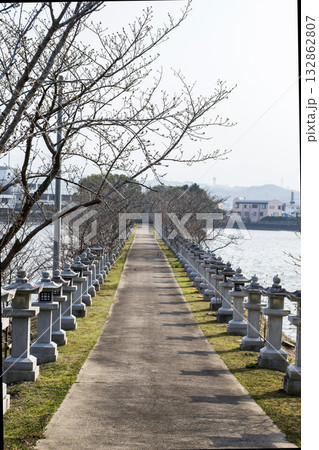 竜桜公園の風景 竜桜公園の風景 132862807