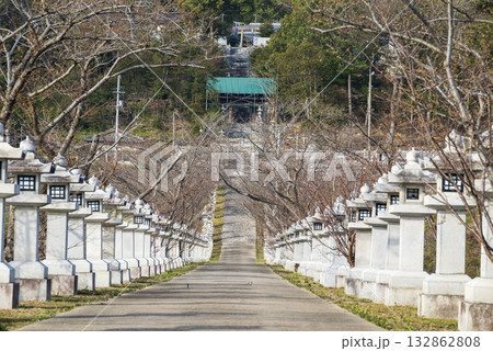 竜桜公園の風景 132862808