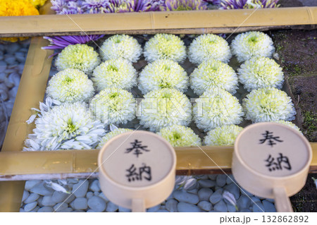 秋の土津神社　手水舎　菊の花手水　福島県猪苗代町 132862892