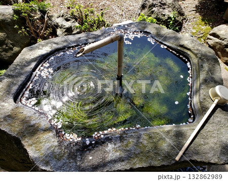 篠栗 明石寺 桜の花びらの浮かぶ手水 篠栗 明石寺 桜の花びらの浮かぶ手水 132862989