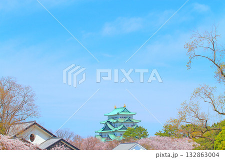 愛知県名古屋市、満開の桜と名古屋城の風景 愛知県名古屋市、満開の桜と名古屋城の風景 132863004