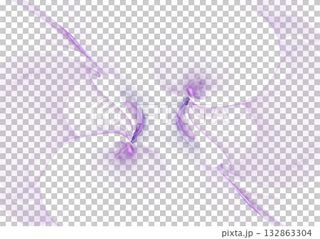 分形圖案 132863304