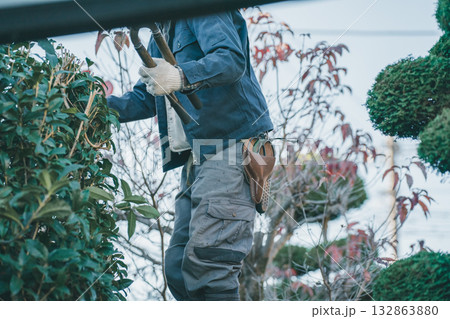 Japanese Gardener 132863880
