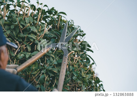 Japanese Gardener 132863888