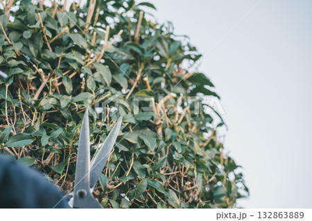 Japanese Gardener Japanese Gardener 132863889