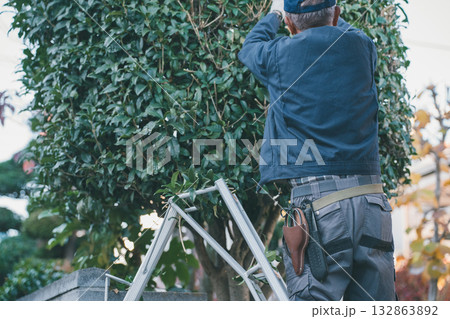 Japanese Gardener Japanese Gardener 132863892