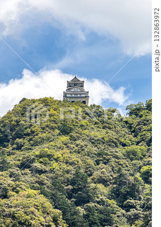 金華山山上に建つ岐阜城天守 132863972