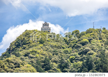金華山山上に建つ岐阜城天守 132863973