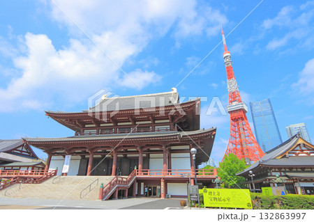 東京都港区、東京タワーと増上寺の風景 132863997
