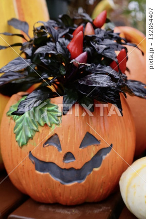 ハロウィン ハロウィン 132864407