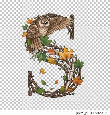 Elegant owl art isolated on transparent background 132864423