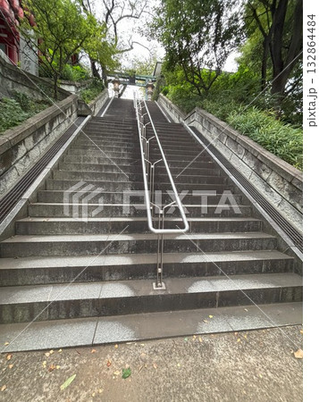 市谷亀岡八幡宮 市谷亀岡八幡宮 132864484