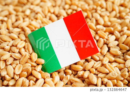 Italy flag on grain wheat, trade export and economy concept. 132864647