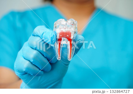 Cigarette with teeth isolated on white background, damage the health of your teeth, No smoking. 132864727