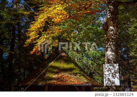 木造家屋 木造住宅 木造ハウス 132865124