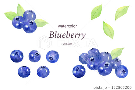 水彩で描いたブルーベリーセット　ベクターイラスト 132865200