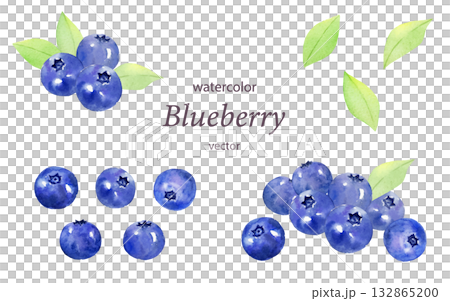 水彩で描いたブルーベリーセット　ベクターイラスト 132865200