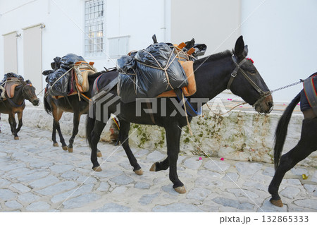 ギリシャで働くラバ 132865333