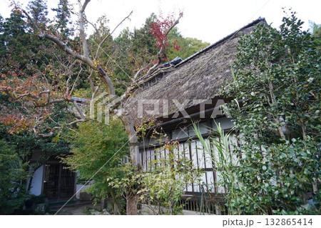 信州の鎌倉・北向観音・常楽寺・天台宗別格本山・別所温泉周辺の風景 132865414
