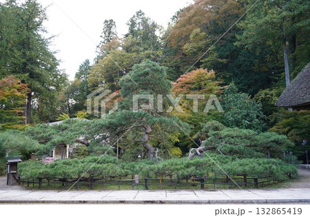 信州の鎌倉・北向観音・常楽寺・天台宗別格本山・別所温泉周辺の風景 信州の鎌倉・北向観音・常楽寺・天台宗別格本山・別所温泉周辺の風景 132865419