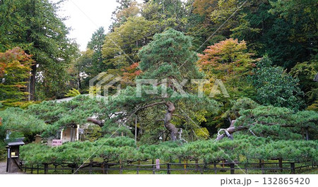 信州の鎌倉・北向観音・常楽寺・天台宗別格本山・別所温泉周辺の風景 信州の鎌倉・北向観音・常楽寺・天台宗別格本山・別所温泉周辺の風景 132865420