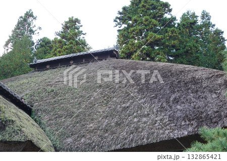 信州の鎌倉・北向観音・常楽寺・天台宗別格本山・別所温泉周辺の風景 132865421
