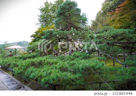 信州の鎌倉・北向観音・常楽寺・天台宗別格本山・別所温泉周辺の風景 信州の鎌倉・北向観音・常楽寺・天台宗別格本山・別所温泉周辺の風景 132865446