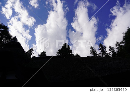 信州の鎌倉・北向観音・常楽寺・天台宗別格本山・別所温泉周辺の風景 信州の鎌倉・北向観音・常楽寺・天台宗別格本山・別所温泉周辺の風景 132865450