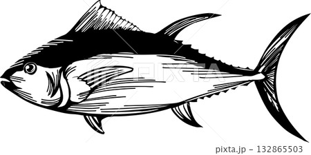 シンプルなマグロの線画イラスト 132865503