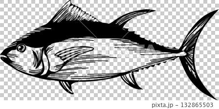 シンプルなマグロの線画イラスト 132865503