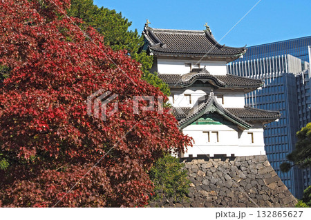 皇居 乾通りから見た江戸城・富士見櫓【東京都千代田区】 皇居 乾通りから見た江戸城・富士見櫓【東京都千代田区】 132865627