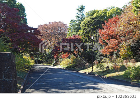 皇居 乾通り【東京都千代田区】 132865633