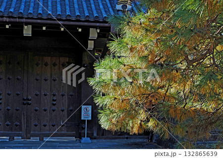 皇居 乾通りの局門【東京都千代田区】 皇居 乾通りの局門【東京都千代田区】 132865639